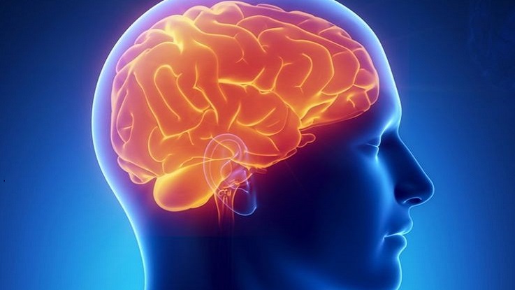 Sức mạnh của sự gắn kết giúp hỗ trợ sức khỏe tinh thần một cách tự nhiên